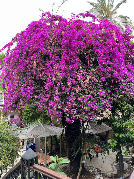 Sonstiges Dogan Hotel by Prana Hotels & Resorts