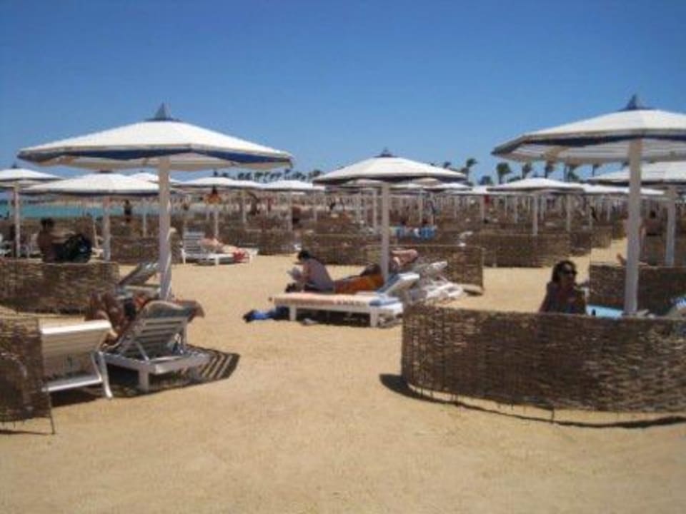 Immer genügend Liegen im Schatten vorhanden Pickalbatros Dana Beach Resort - Hurghada