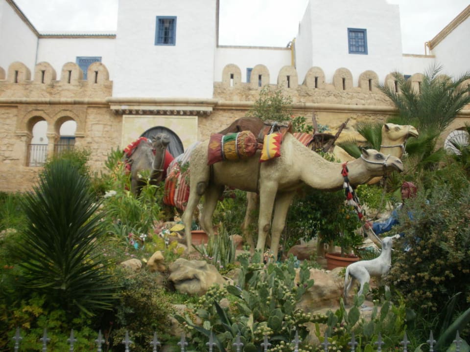 Karhago ist gleich nebenan Diar Lemdina Hotel