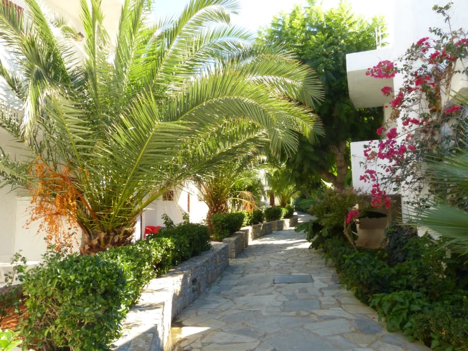 Wege zwischen den Bungalows Sentido Kyknos Beach Adults Only 16+