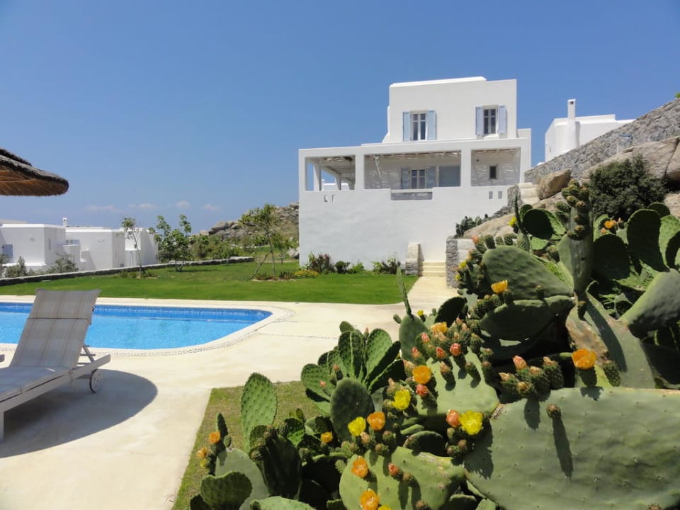 Kaktusfeigen Hotel Naxian Collection