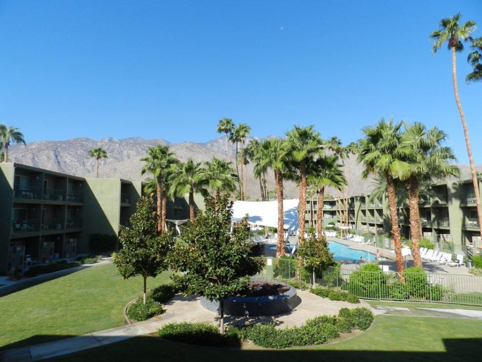 Pool und Gartenanlage Joie de Vivre Hotel The Saguaro Palm Springs