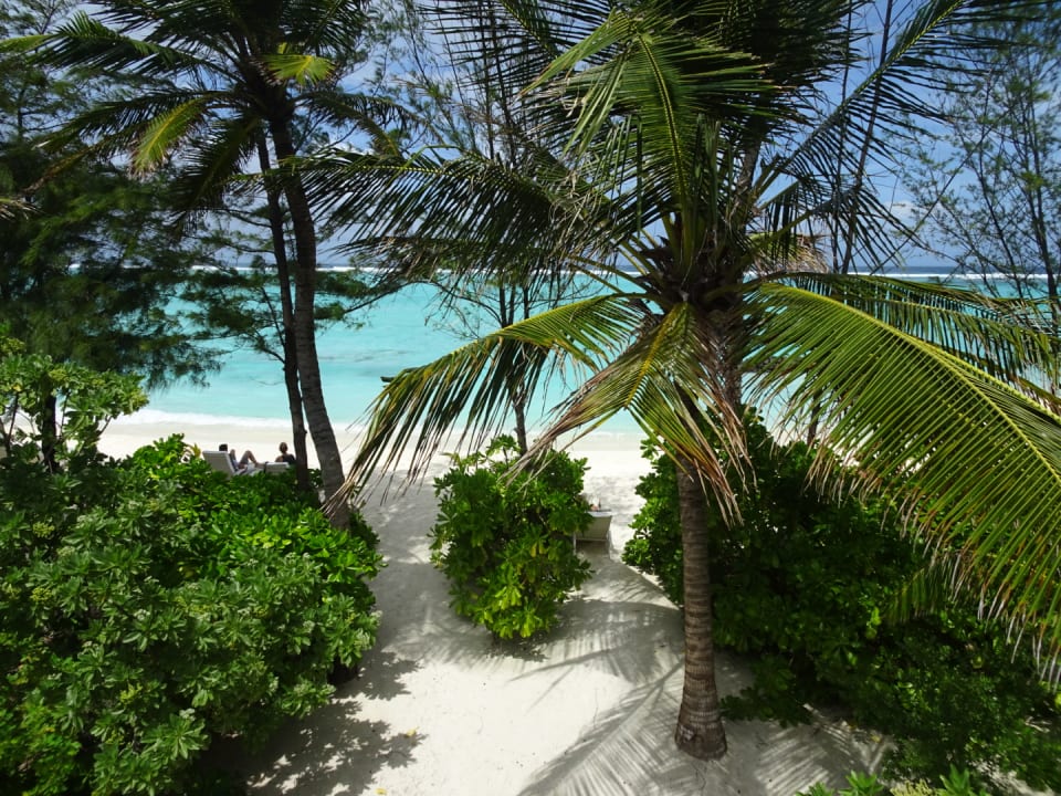 Ausblick Summer Island Maldives