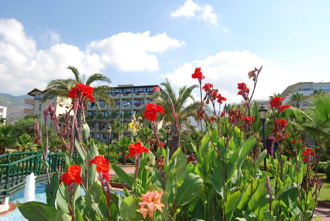 Blick zum Hotel Gardenia Hotel