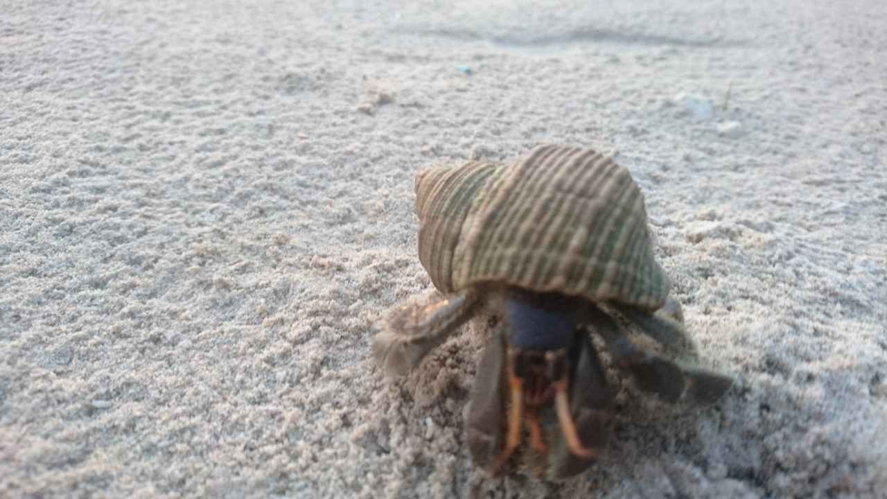 Strand The Grand Southsea Khaolak Beach Resort