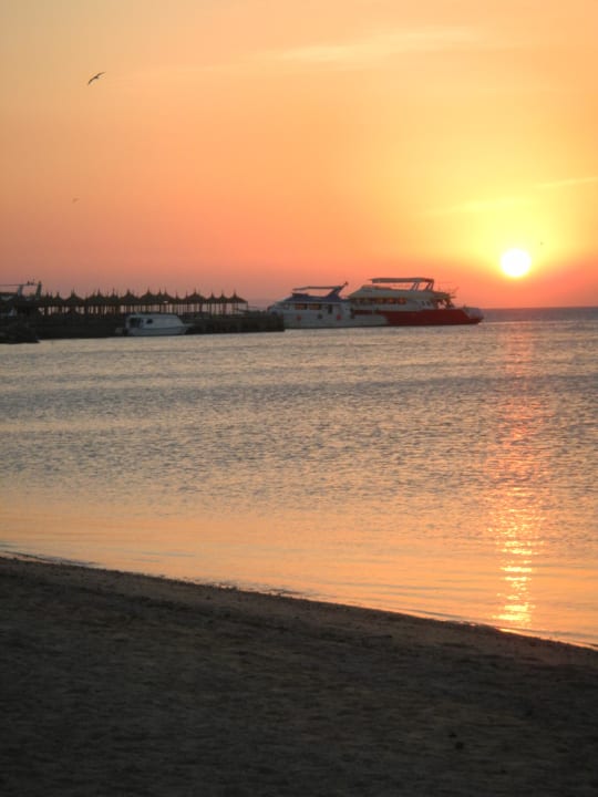 Sonnenaufgang Pickalbatros Palace Resort