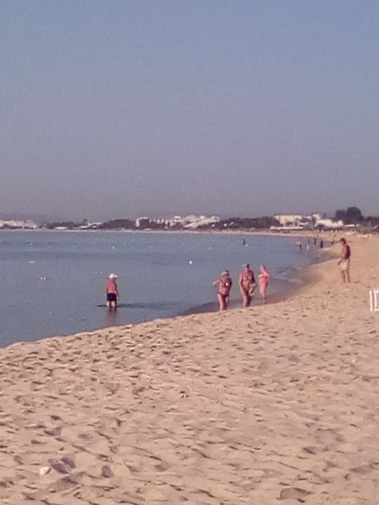 Strand Sentido Phenicia