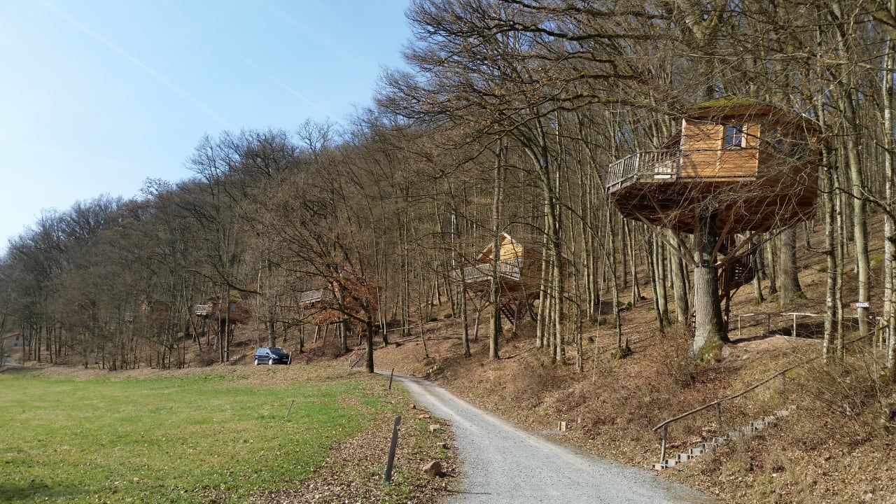 Außenansicht Baumhaushotel Seemühle