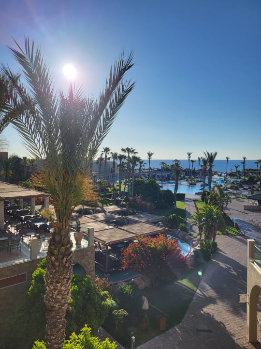 Gartenanlage Atlantica Aegean Blue