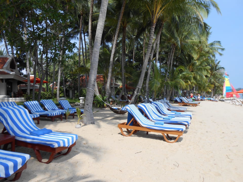 Gegen Mittag so viele freie Liegen   Santiburi Koh Samui