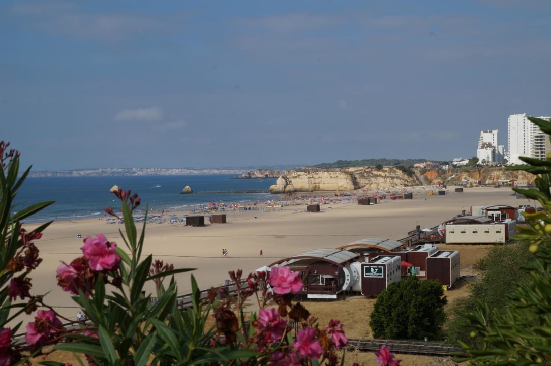 Strandausblick AP Oriental Beach - Adults Friendly