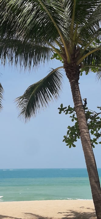 Strand The Fair House Beach Resort