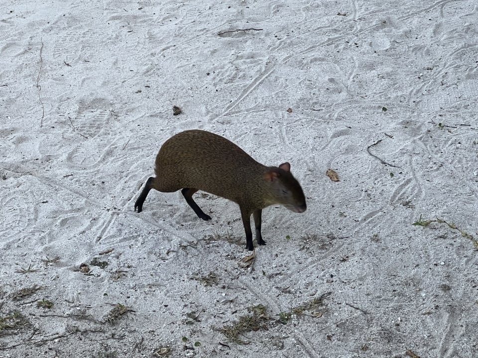 Sonstiges Akumal Bay Beach & Wellness Resort