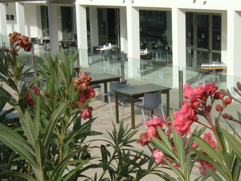 Aussenbereich des Restaurants R2 Bahía Playa Design Hotel & Spa - Adults Only