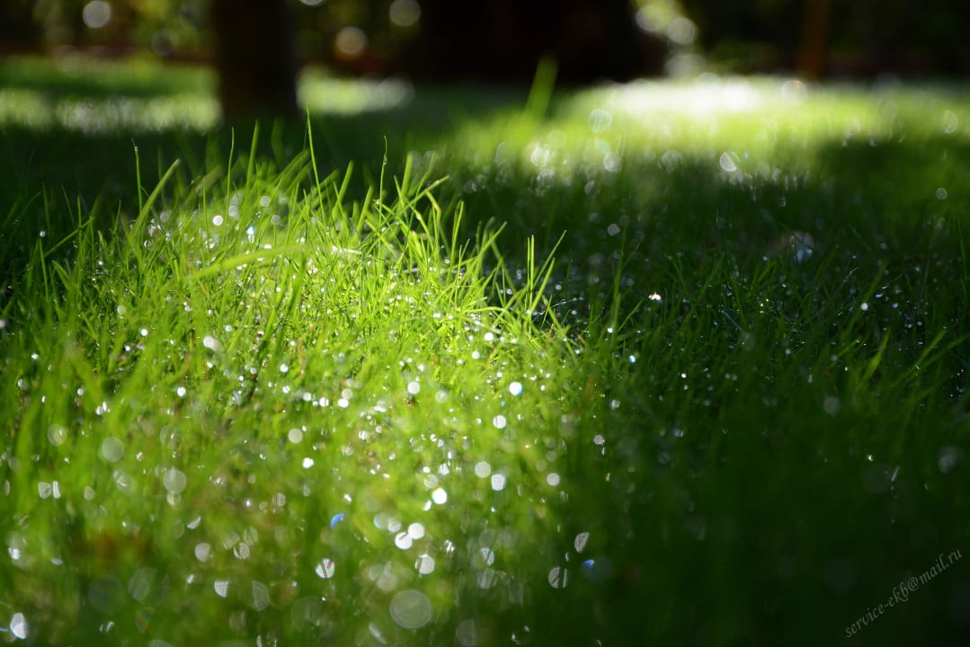 Delphin Imperial Hotel Delphin Imperial