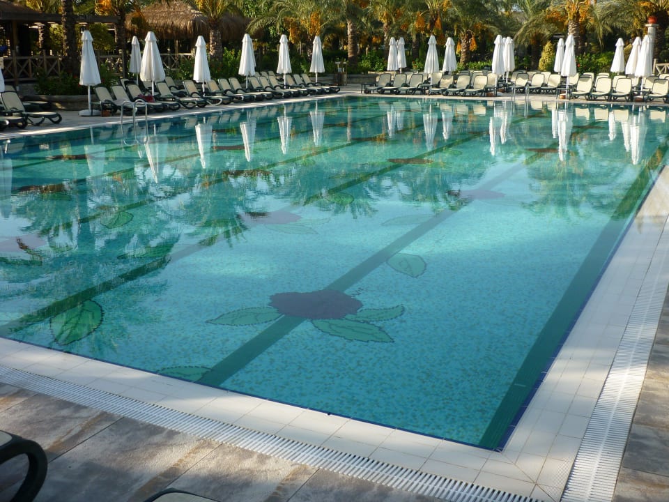 Rosenfliesen im Pool Royal Wings Hotel