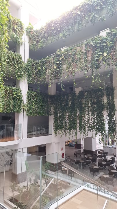 Lobby Alexandre Hotel Gala