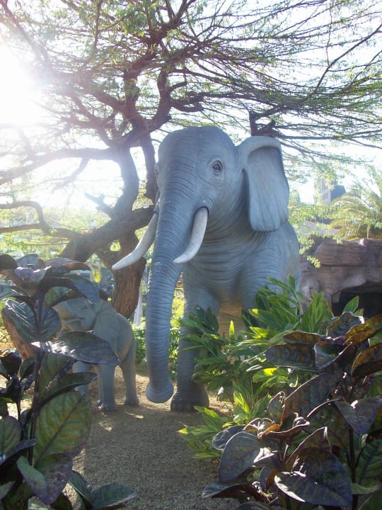 Elefant im Garten Lopesan Baobab Resort