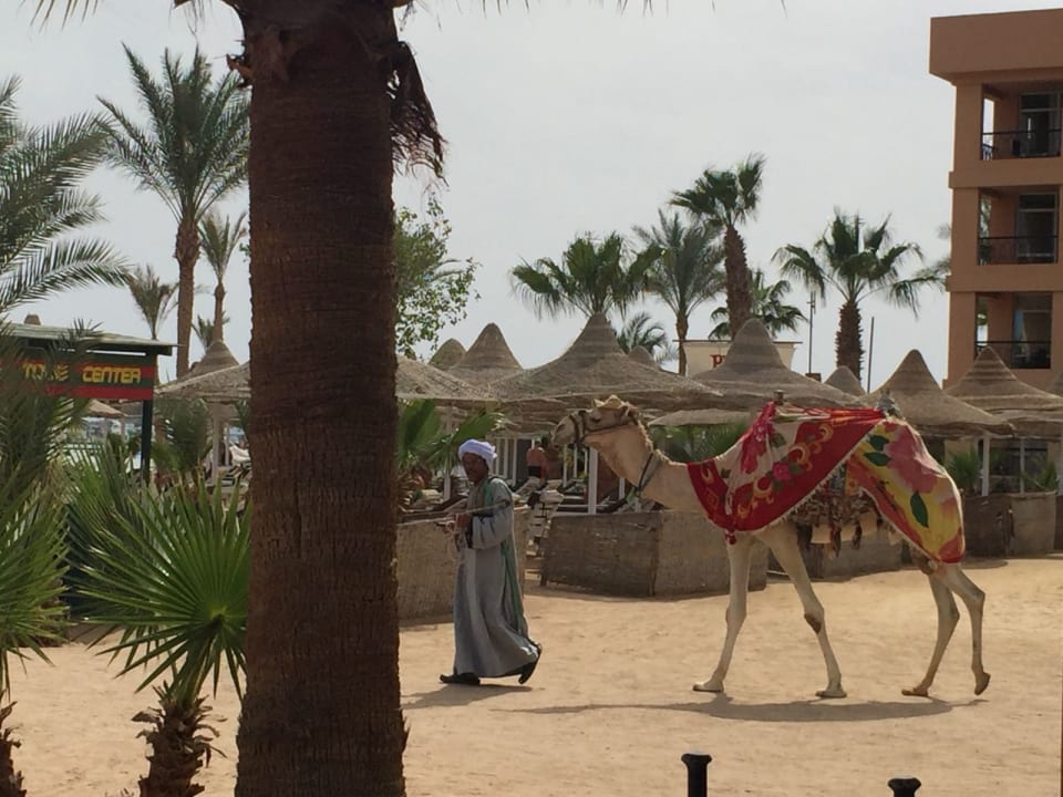 Strand Giftun Azur Resort