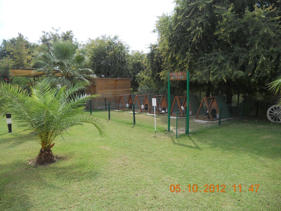 Mini Zoo  Sunis Elita Beach Resort & Spa