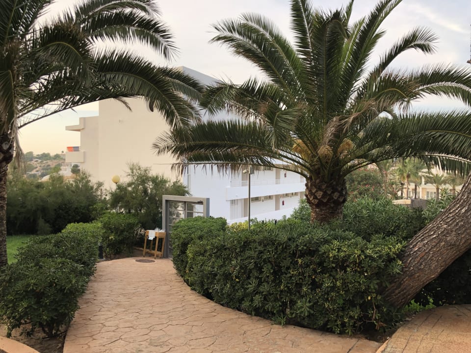 Garten Insotel Club Tarida Playa