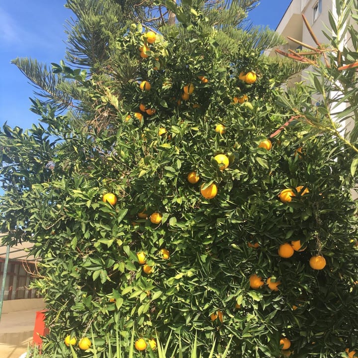 Gartenanlage LRS Port River Hotel & Spa