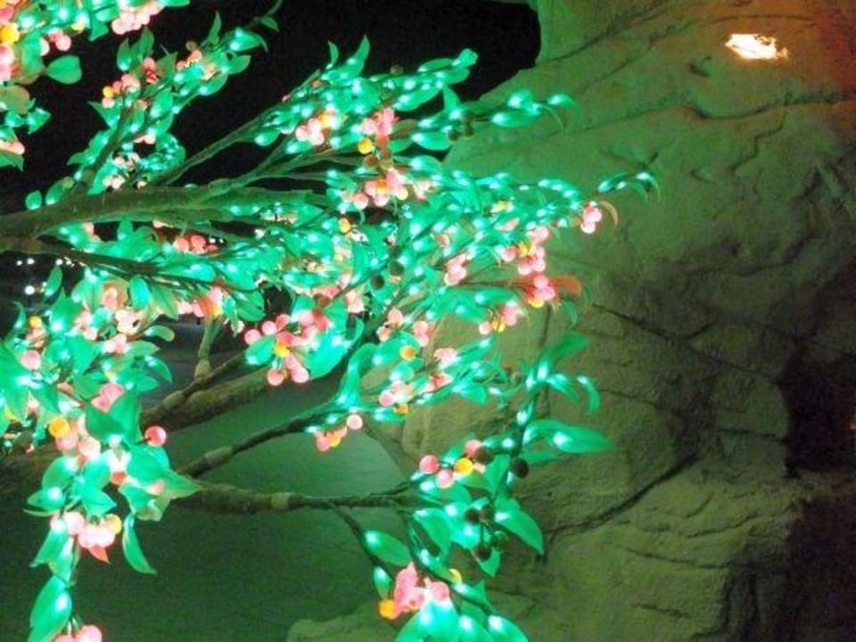 Poolanlage Three Corners Happy Life Beach Resort