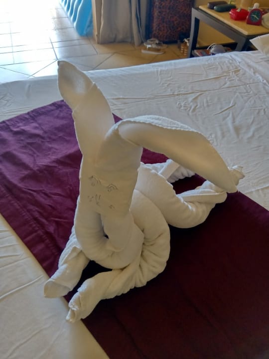 Zimmer JAZ Belvedere Resort