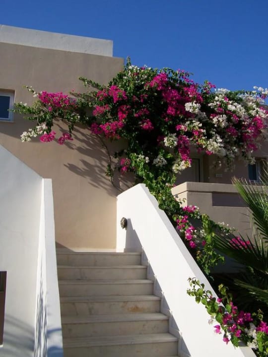 Wygląd zewnetrzny Grand Hotel Holiday Resort