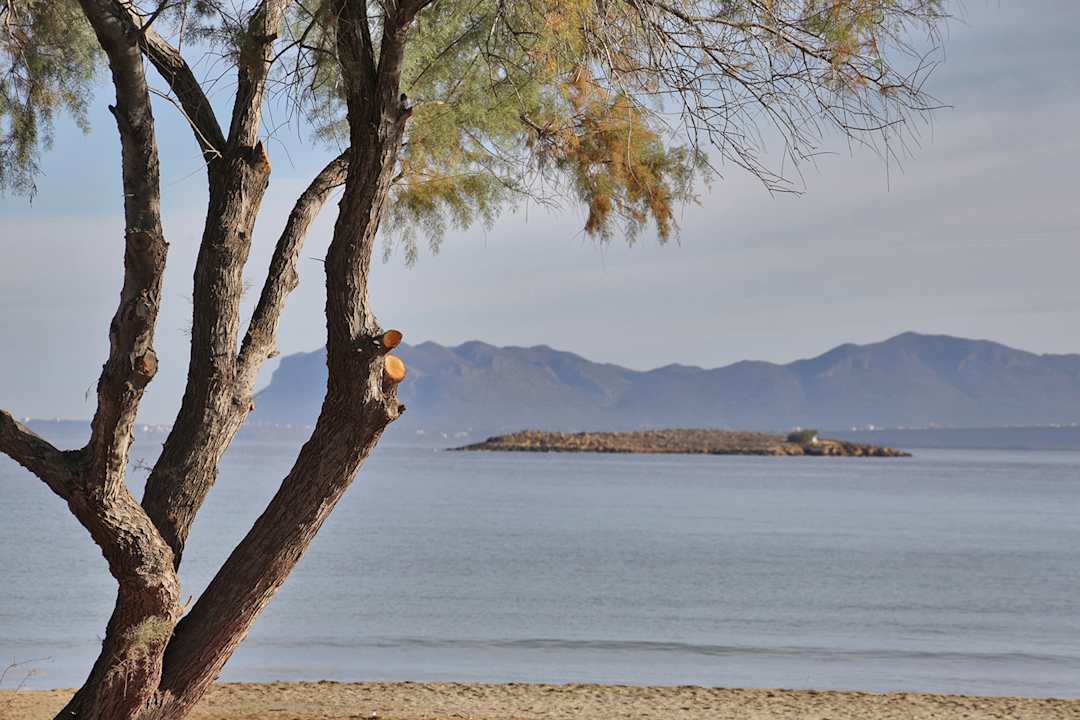 Strand The House By The Sea