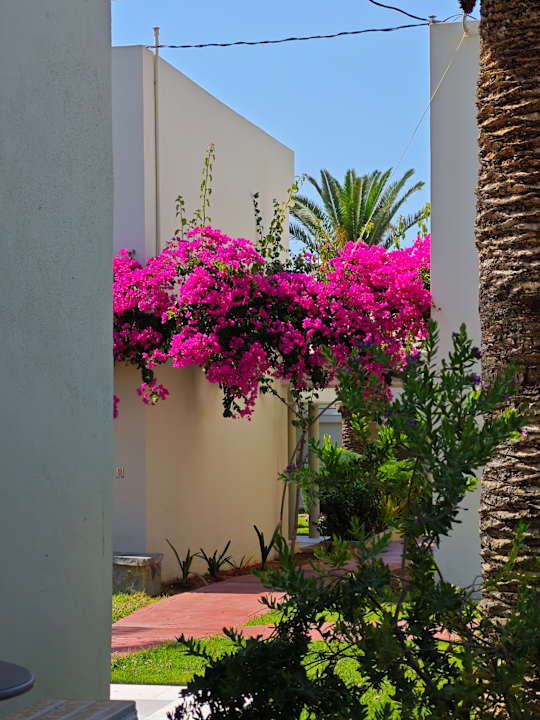 Gartenanlage HARPIN Georgioupolis Resort Aquapark & SPA