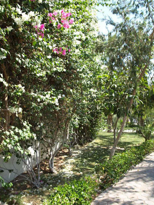 Hotel Sultan Gardens Resort