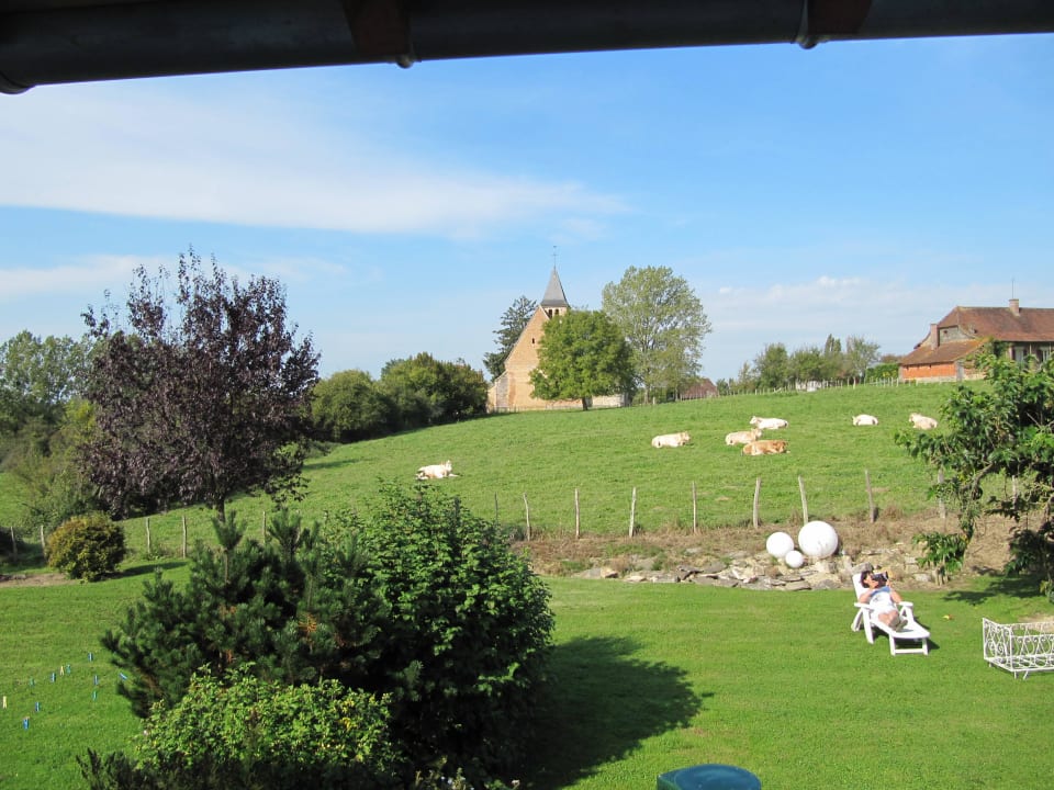 Blick zum Garten Gîte Sapin Bleu