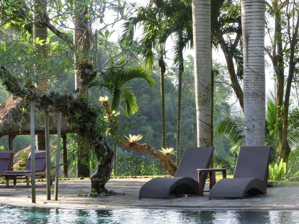 Wie aus der Thomas Cook Werbung The Payogan Villa Resort & Spa