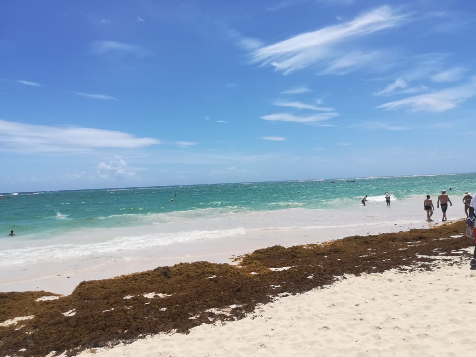 Sonstiges Grand Palladium Select Bávaro Resort & Spa
