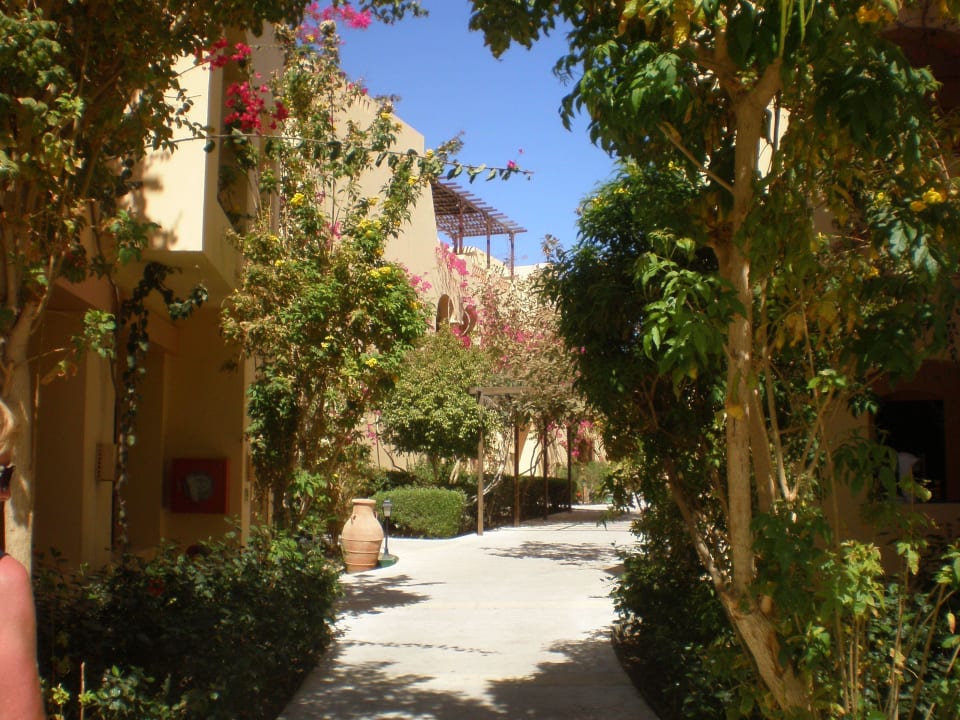 Weg zum Zimmer Steigenberger Coraya Beach - Adults only