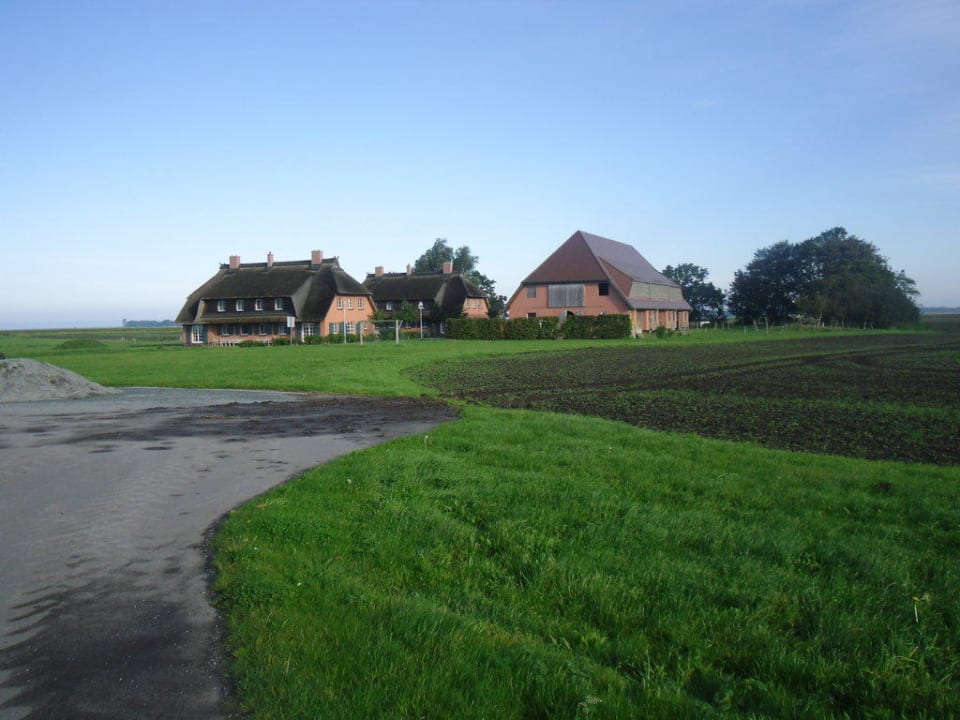 Hof Simon (2. Hof) Rügen-Ferienhof