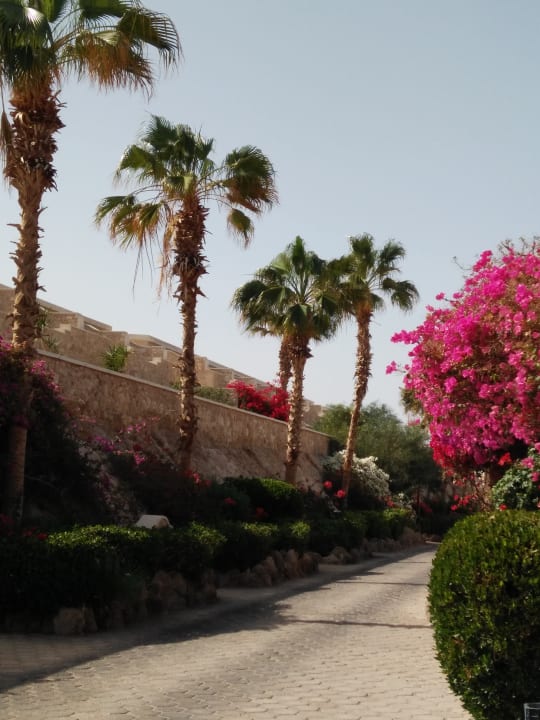 Gartenanlage Pickalbatros Citadel Resort