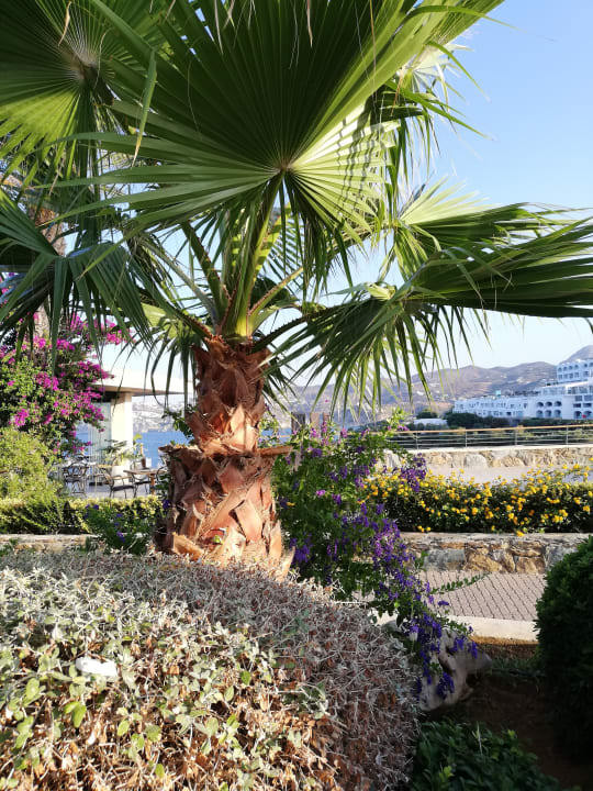 Gartenanlage Seaside A Lifestyle Resort