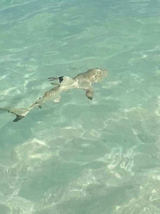 Strand Kandima Maldives