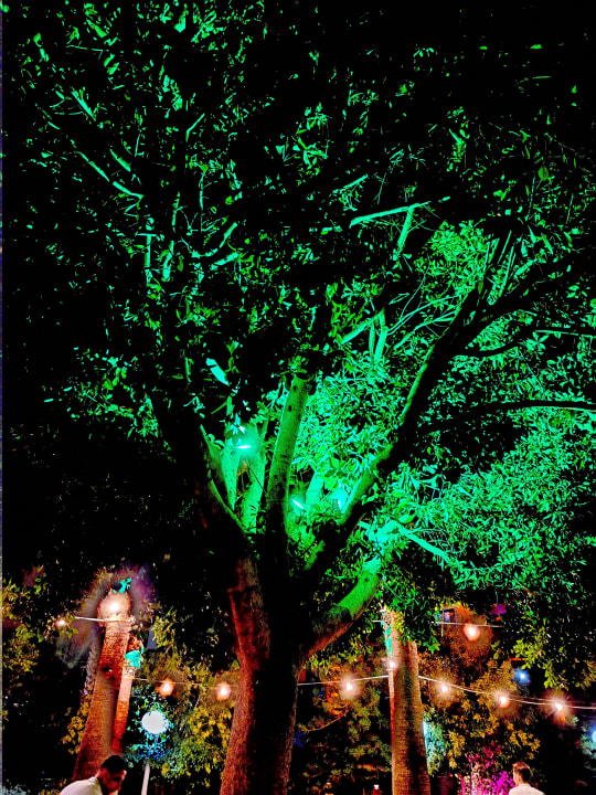 Gastro Hane Family Resort