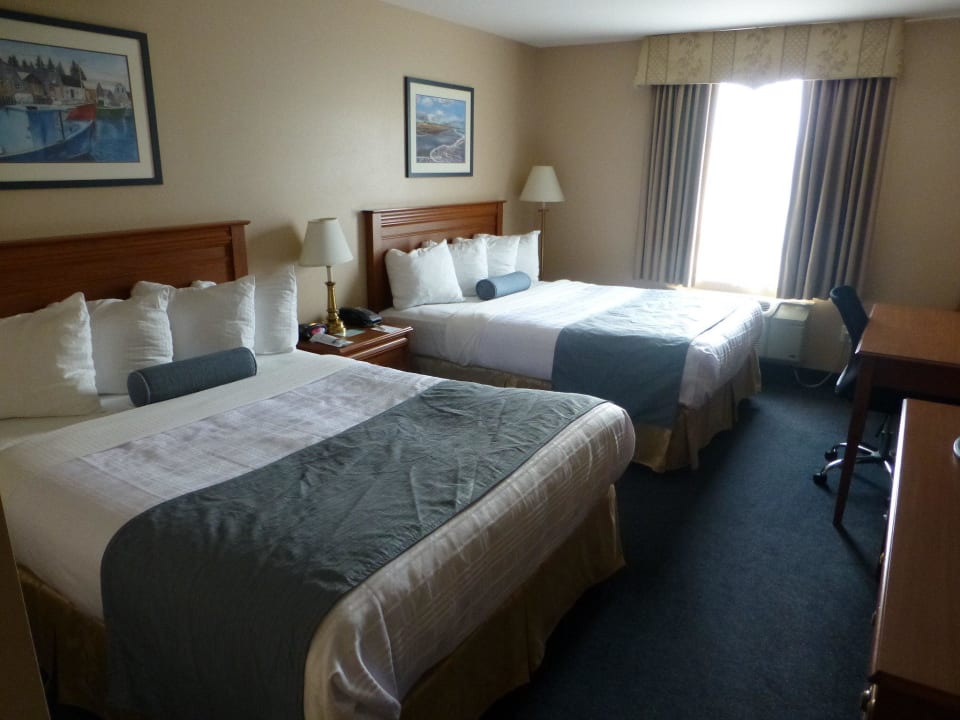 Zimmer Best Western Hotel Moncton