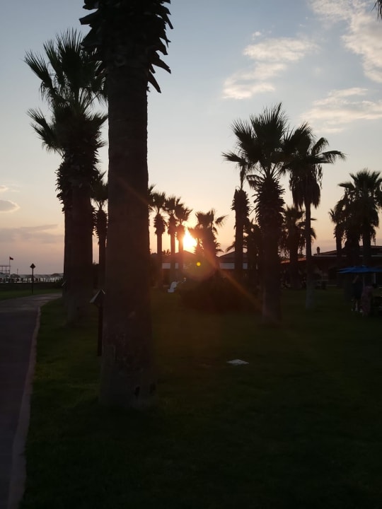 Gartenanlage Megasaray Club Belek