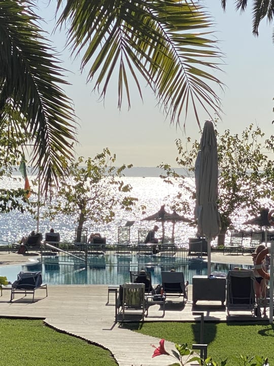 Pool Hotel Son Caliu Spa Oasis