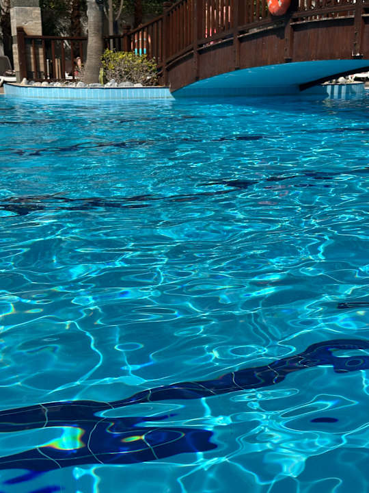 Pool Dizalya Palm Garden