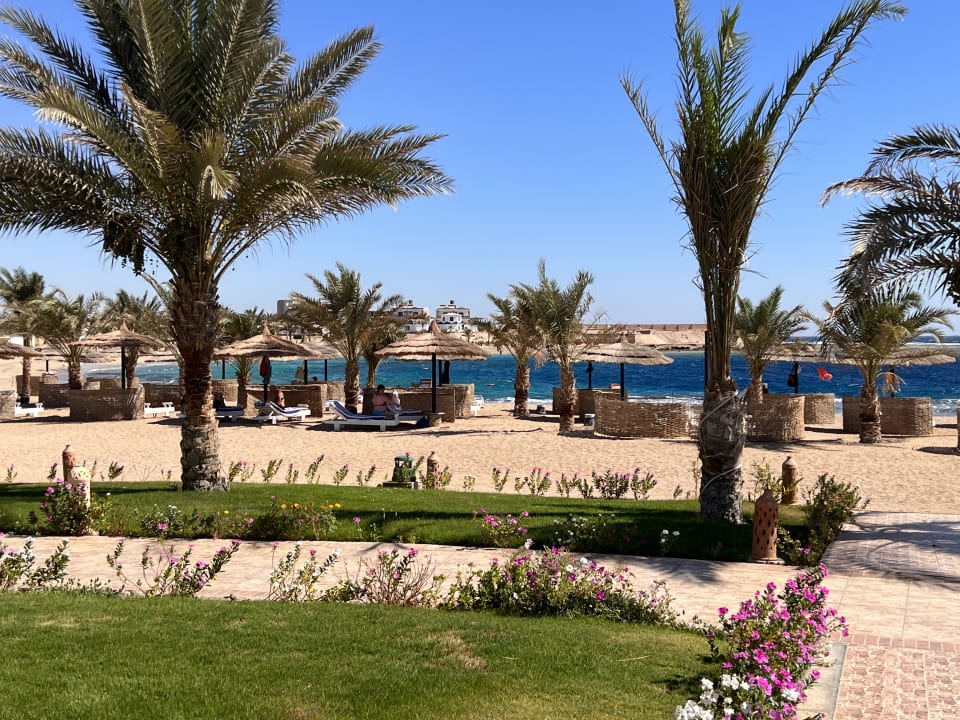 Strand Coral Sun Beach