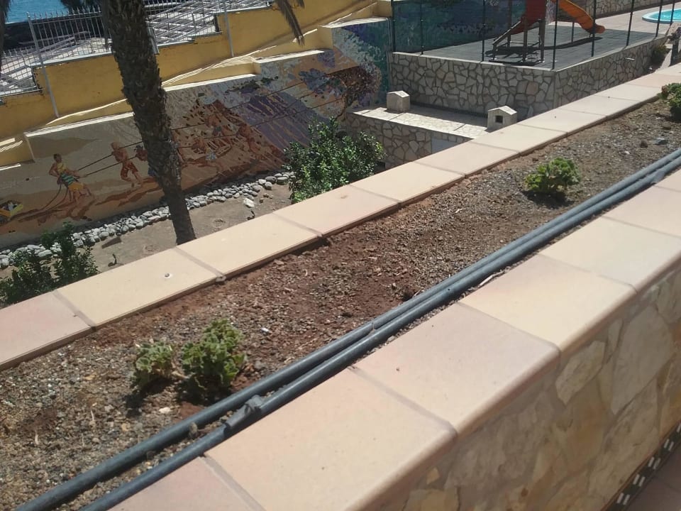 Es könnte hier mit etwas Wasser auch blühen   Hotel Europalace