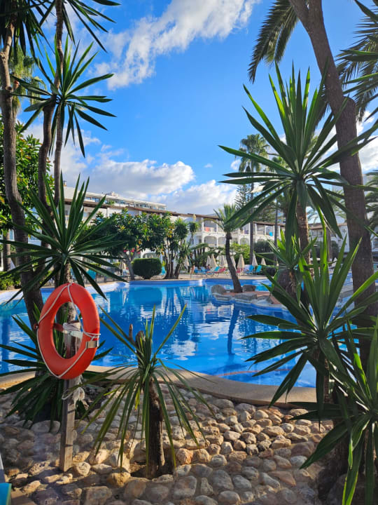 Pool Alcudia Garden Aparthotel
