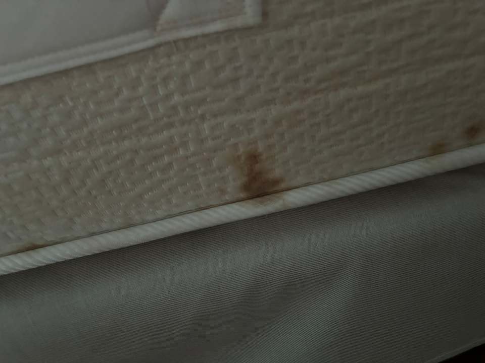 Zimmer Occidental Jandía Playa