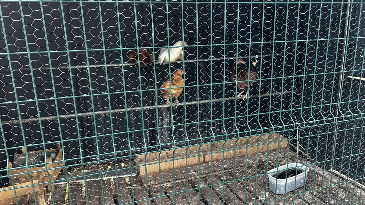 Gartenanlage VONRESORT Golden Beach